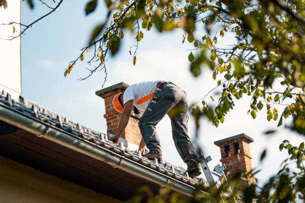 Best Flat Roof Repair Services  in Dawson, GA