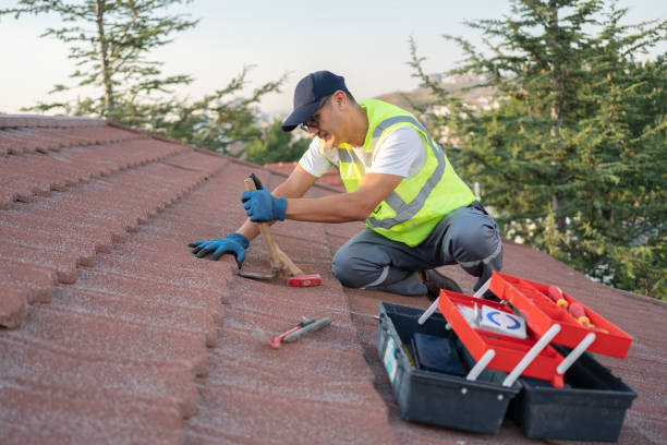 Best New Roof Installation  in Dawson, GA