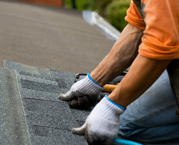 Best Roof Gutter Cleaning  in Dawson, GA