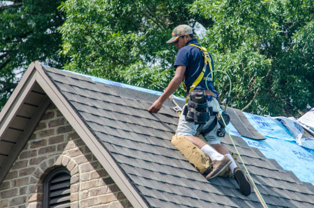 Best New Roof Installation  in Dawson, GA
